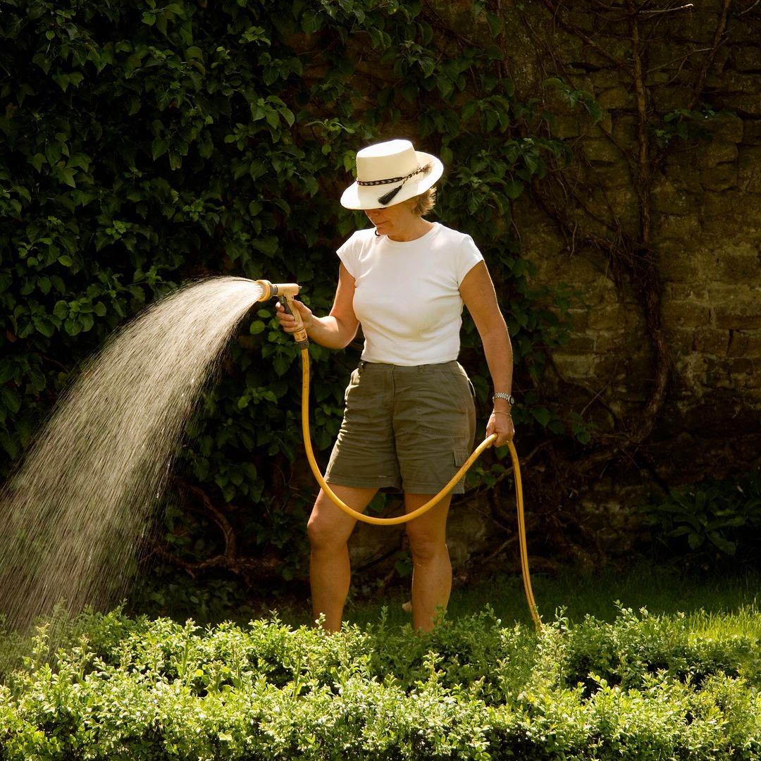 6 things making your scorched garden worse in the heatwave